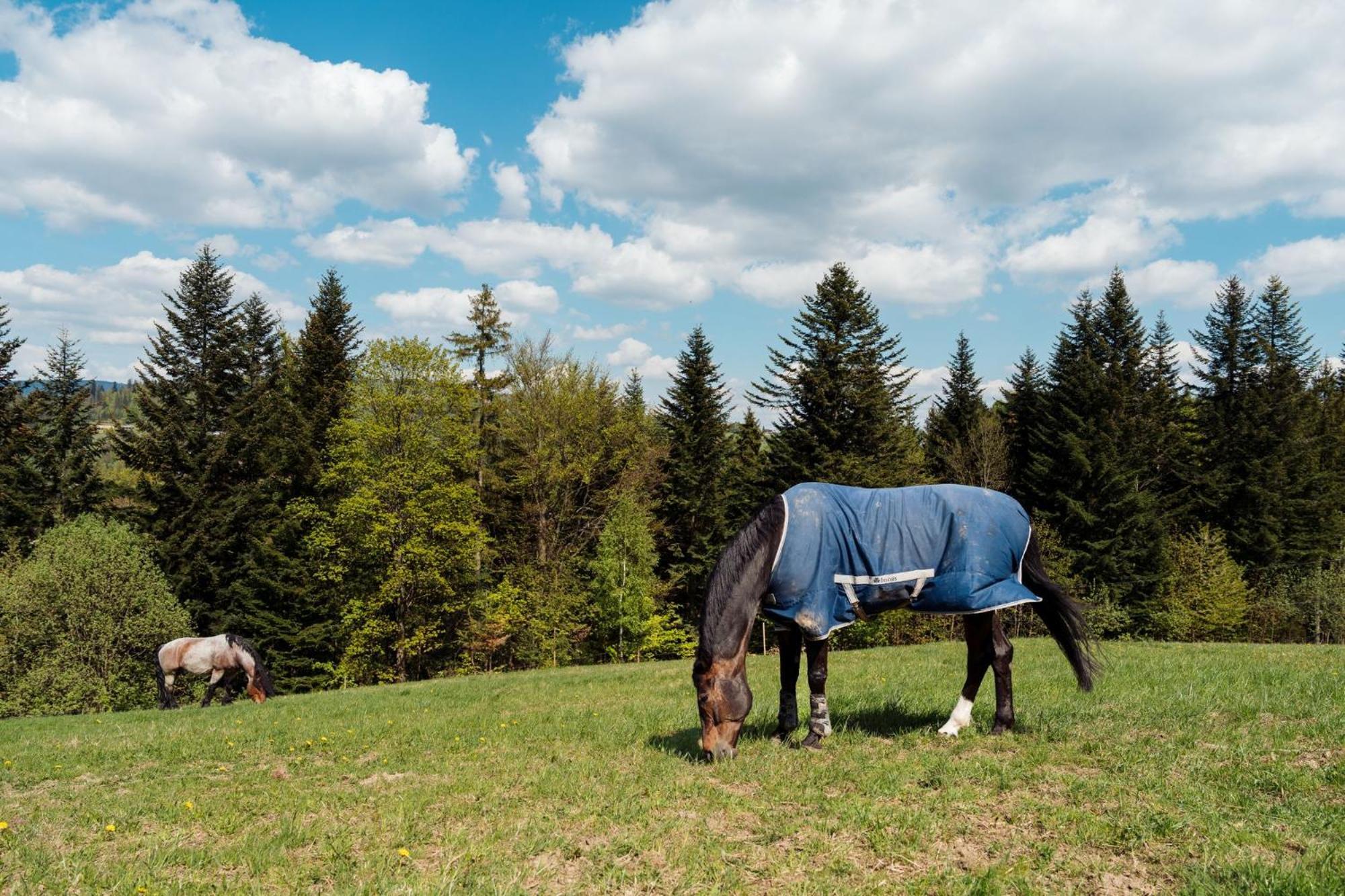 Swierkowe Chatki W Koniakowie Exteriér fotografie